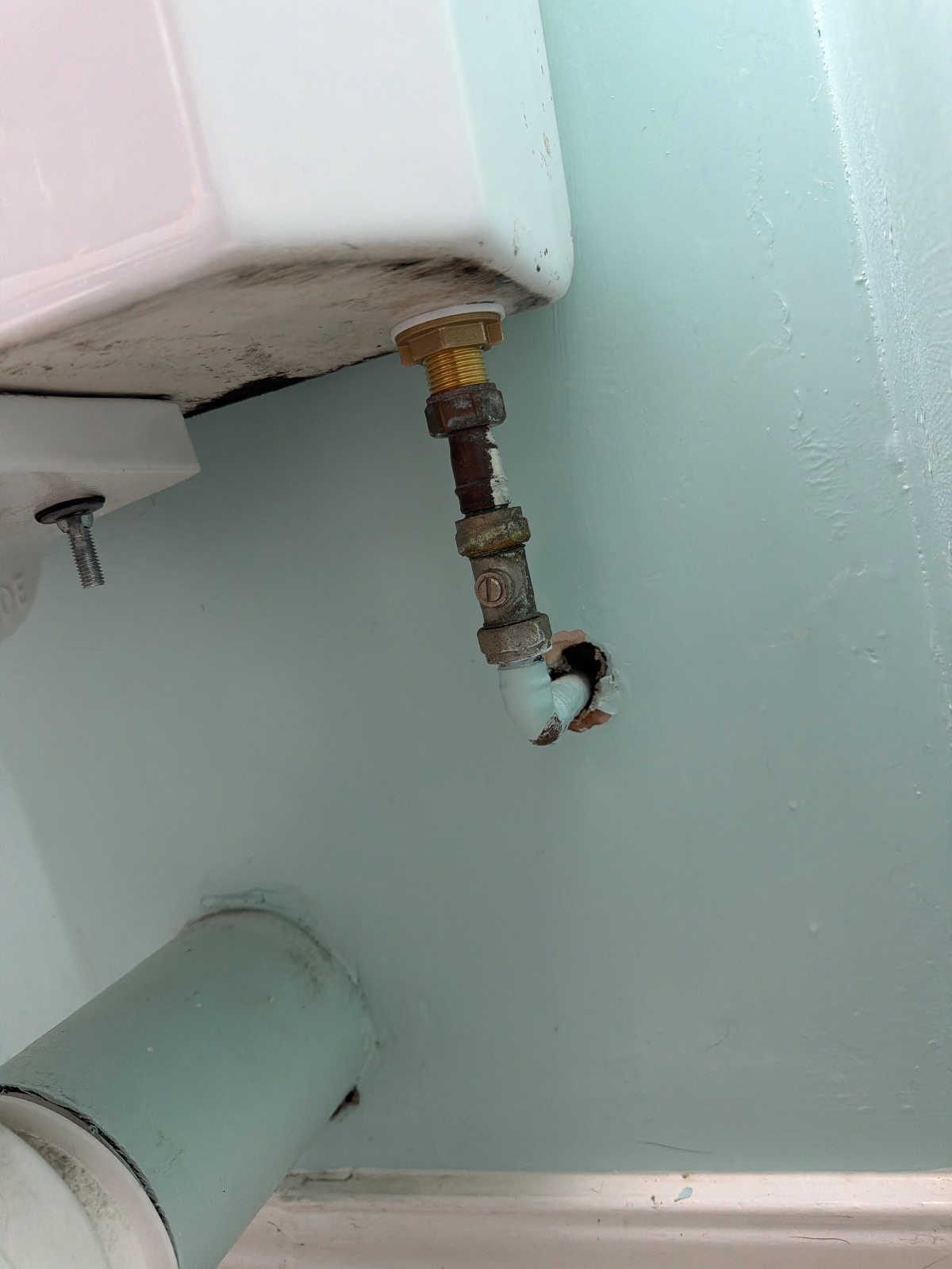 Toilet is leaking and a replacement Kitchen Tap near Windsor Crescent, Whitley Bay — PK Plumbing